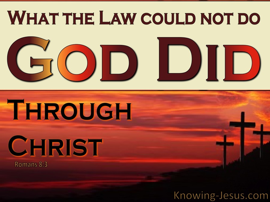 Romans 8:3 What The Could Not Do God Did (brown)
